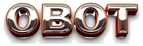 0b0t logo
